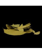 Satvik Whole Bay Leaf/Tej Patta, 50g